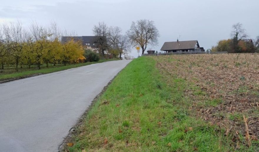 Vorher: Die Alte Poststraße am Ortsausgang ohne Radweg, Nachher: Jana Stahl (Energieagentur Südwest), Matthias Änis (Fa. Matthias und Markus Änis Gbr, Rümmingen), Olivia Howe (Energieagentur Südwest), Werner Sturm (Werkhof Vorderes Kandertal) und Chrisitan Iselin (Bürgermeister Schallbach) (v.l.) freuen sich über ein neues Stück sicherer Radweg; Foto: Energieagentur Südwest